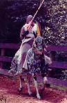Knight costume on horseback